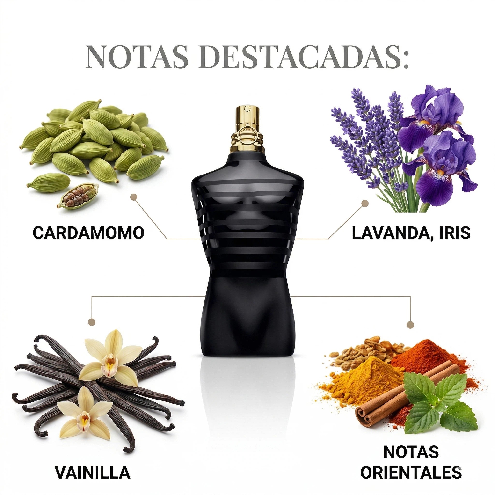 JEAN PAUL GAULTIER LE MALE LE PARFUM 125ML