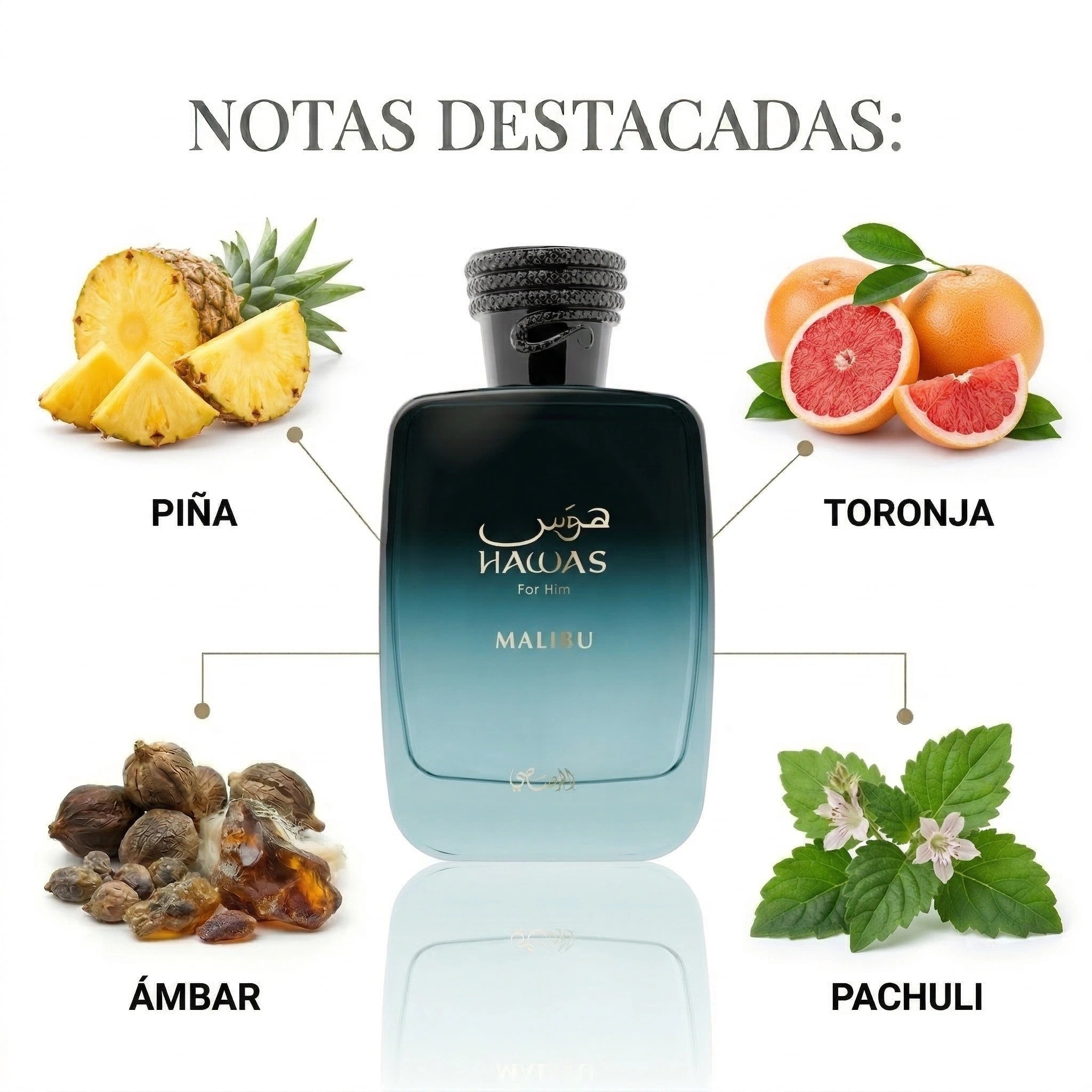 HAWAS MALIBU EDP RASASI 100ML