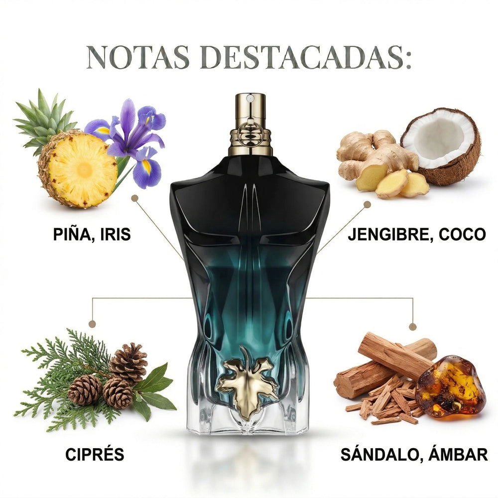 JEAN PAUL GAULTIER LE BEAU EAU DE PARFUM INTENSE